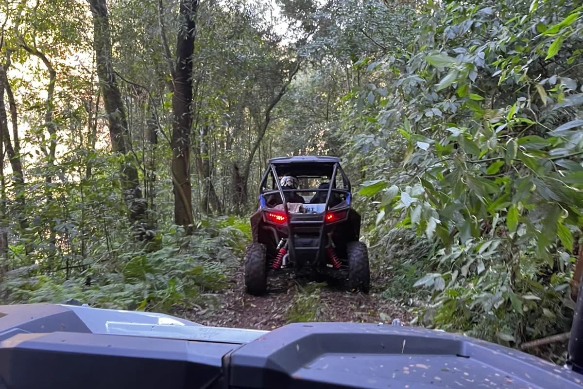 Comboio de UTVs numa trilha de mata fechada